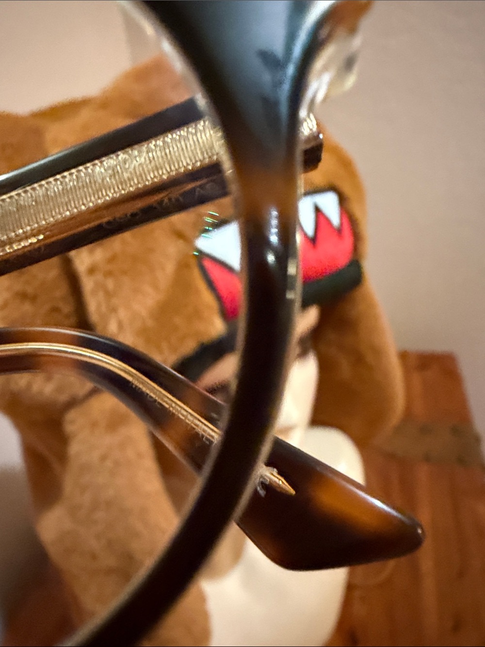 Dior Y2K Round Women's Eyeglasses with Subtle Tortoise color - Picture 5 of 7